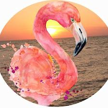 FLA-mingo Resort Properties, LLC
