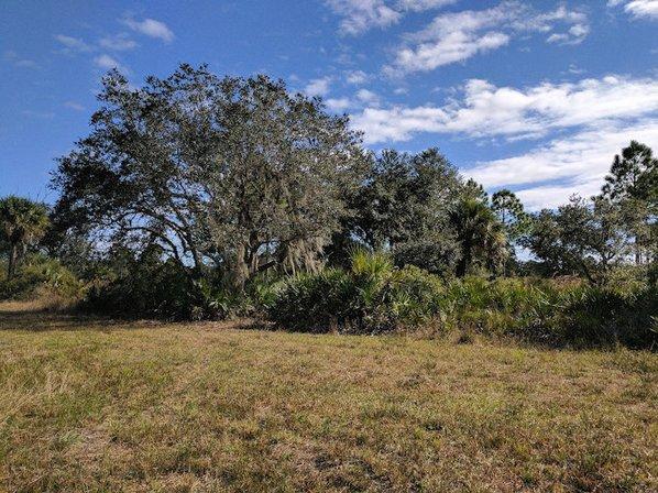 Jelks Preserve