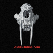 Fossils Online