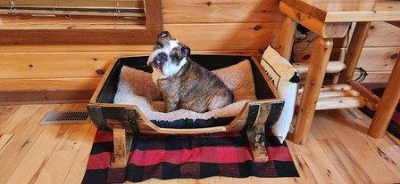 Bulldog Bail Bonds