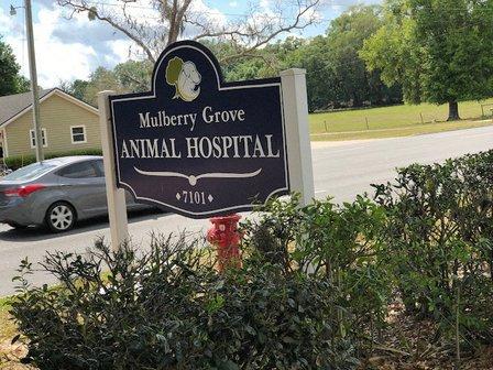 Mulberry Grove Animal Hospital