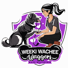 Weeki Wachee Waggers LLC
