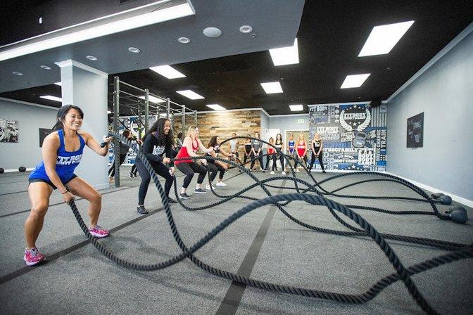 Fit Body Palm Harbor ( Boot Camp & Small Group Training)