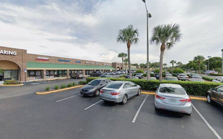 The Little Gym Palm Harbor