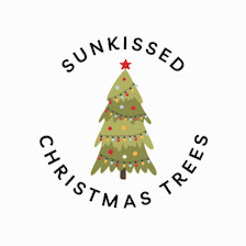 Sunkissed Christmas Trees
