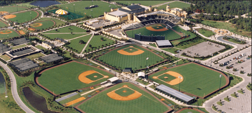 Field 29