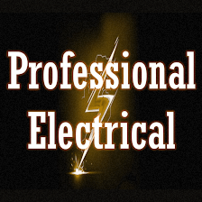 Professional Electrical LLC