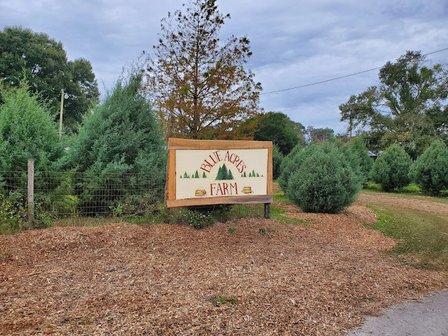 Blue Acres Christmas Tree Farm