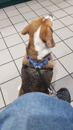 Animal Care Center of Pasco County