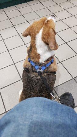 Animal Care Center of Pasco County