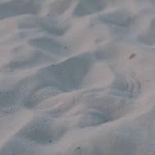 Island Pest & Termite Control