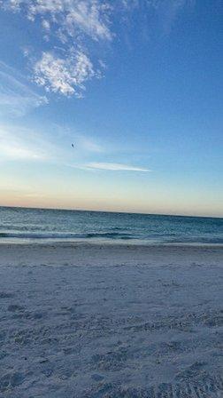 Gulf Dr/42nd St (Manatee Public Beach)