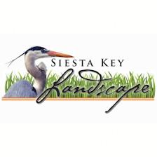 Siesta Key Landscape