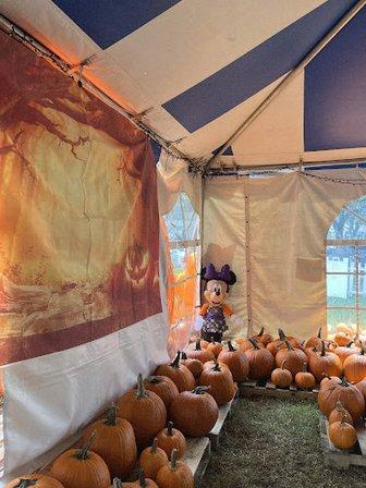 CommPres Pumpkin Patch