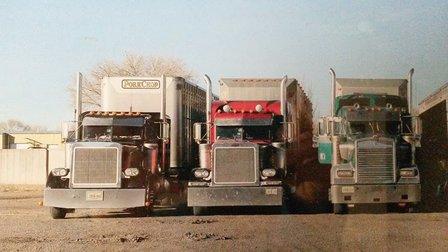 Circle Vs Trucking Inc
