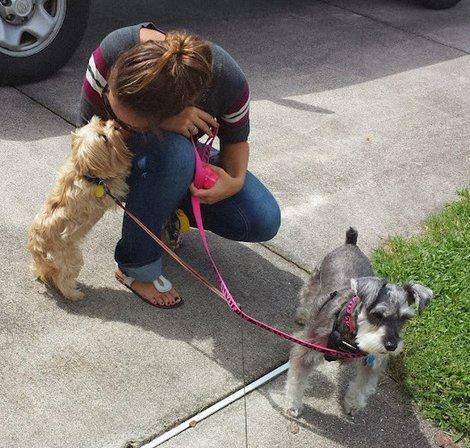 Wag Watchers Pet Sitting Services