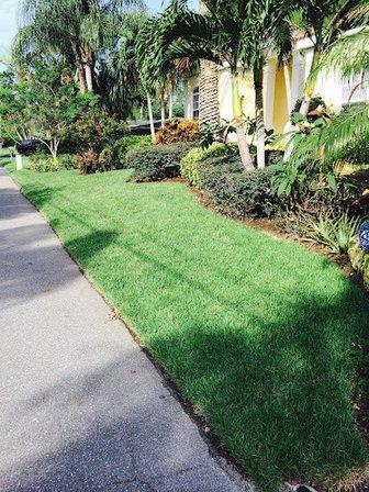 Island Pest & Termite Control