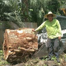Alligator Tree Service, LLC