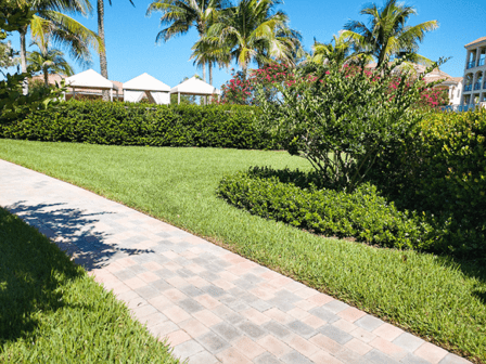 GreenTech Landscape Management