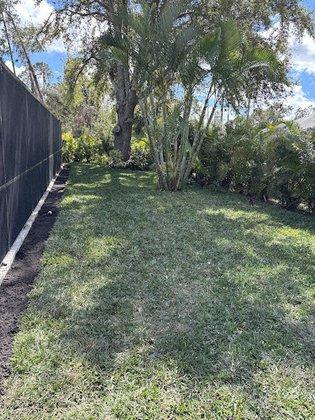 Green Haven Tree And Lawn Service