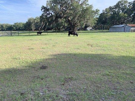 Jimmy Mc's Farm