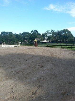 Ravenwood Farm