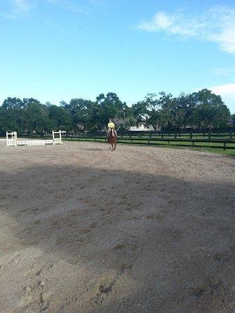 Ravenwood Farm