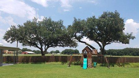 Florida Green Lawn Tree Service
