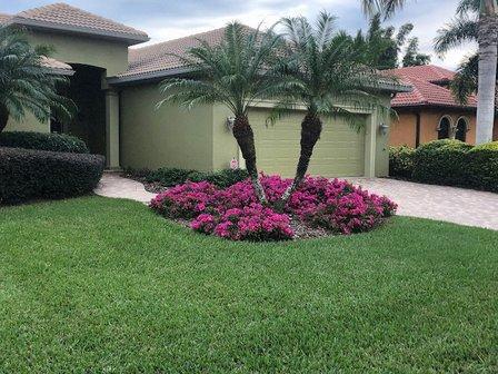 Siesta Key Landscape
