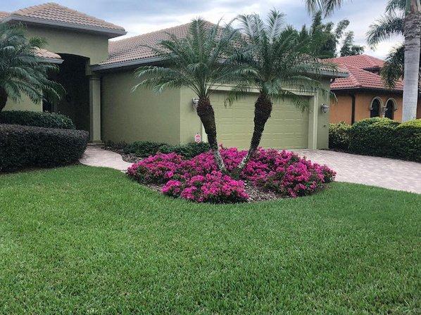 Siesta Key Landscape