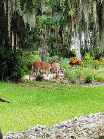 Heritage Oaks