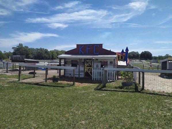 Kiddy Up Ranch