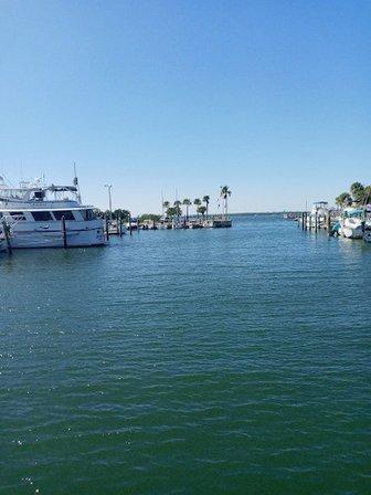 Dunedin Marina