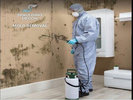 Spaulding Decon - Biohazard & Hoarding Cleaning Orlando