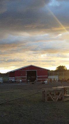 The Dam Ranch