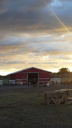 The Dam Ranch