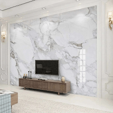 MS Venetian Plaster