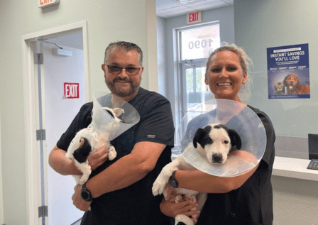 Animal Clinic of the Humane Society of Sarasota County