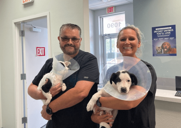 Animal Clinic of the Humane Society of Sarasota County