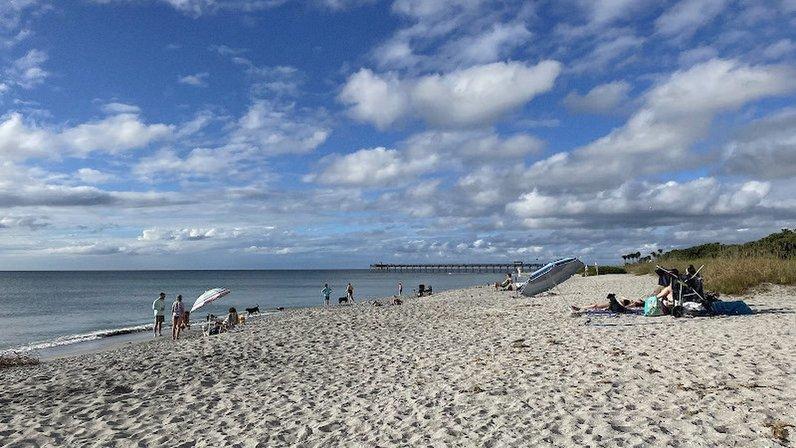 South Brohard Beach Paw Park