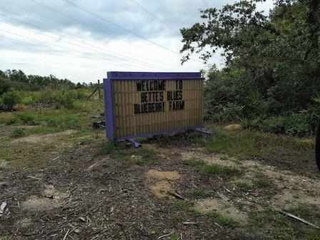Bette's Blues Blueberry Farm