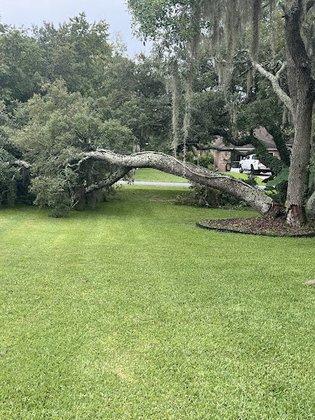 Liberty Tree Care