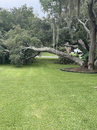 Liberty Tree Care