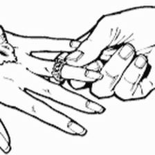 Happy Ever After Wedding Officiants
