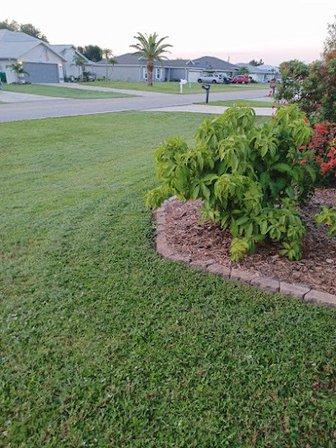 Broken Blade Mower Parts (Service and Repair)