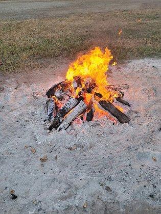 Fire wood for sale