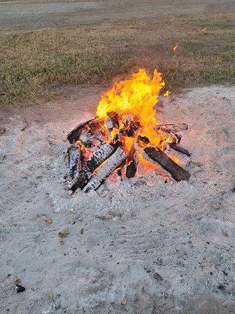 Fire wood for sale