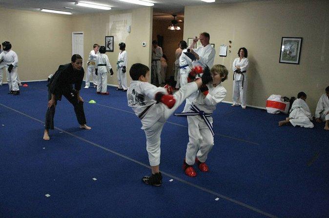 Shaolin-Do Martial Arts-Kung Fu and Tai Chi