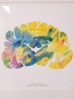 Levine Veterinary Neurology