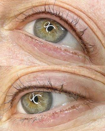 Honeybrows